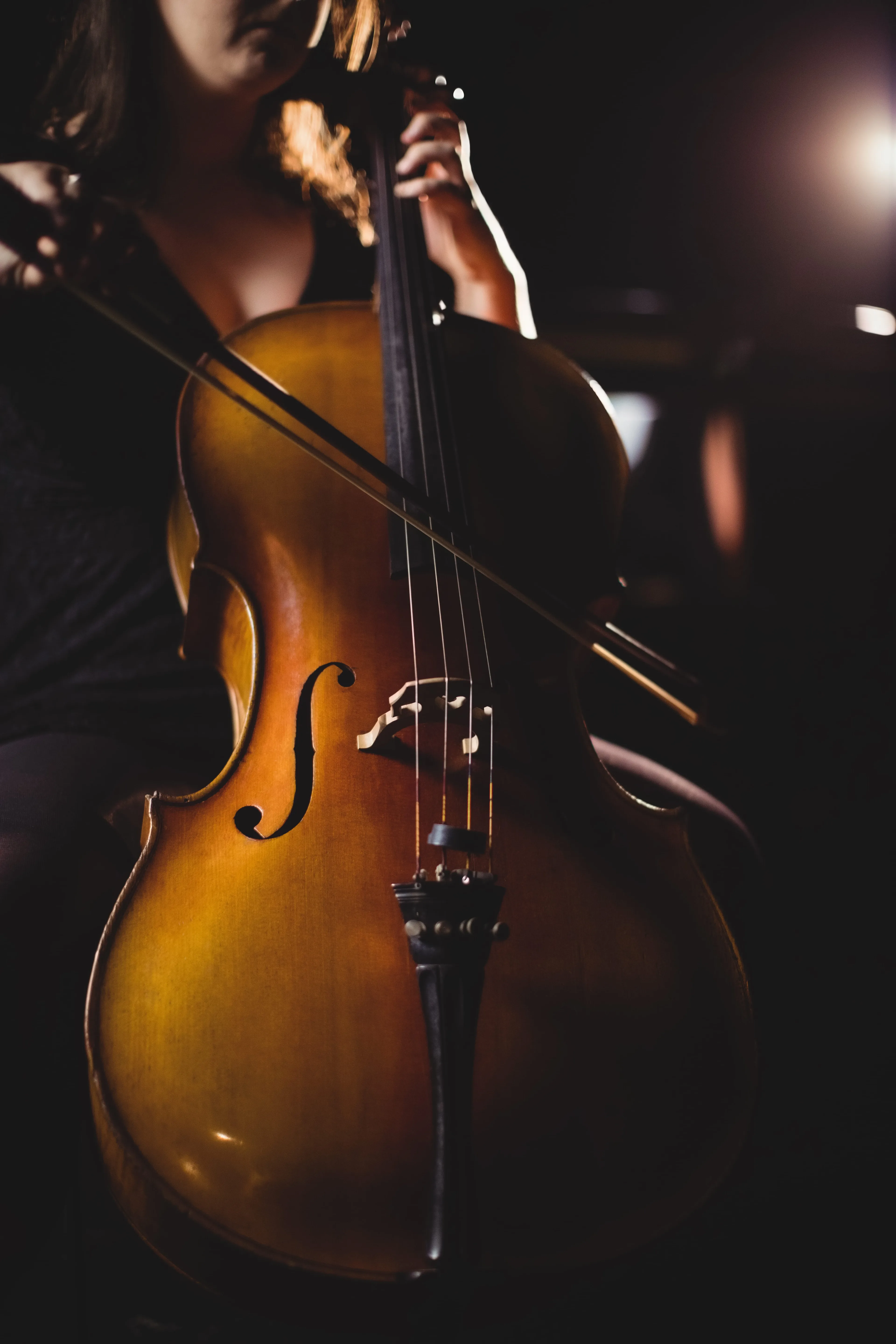 Instrument strunowy jako symbol zastosowań w pomiarach akustycznych i drgań.